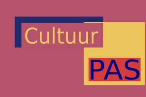 Invoering Cultuurpas 25+? Een voorstel